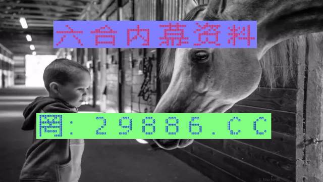 2025澳门特马网站www与7777788888四肖四码管家婆,全面释义、解释与落实与警惕虚假宣传-词语释义、解释与落实